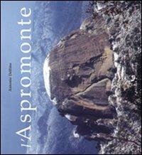 L'Aspromonte - Antonio Delfino - Libro Falzea 2004 | Libraccio.it