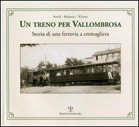 Un treno per Vallombrosa. Storia di una ferrovia a cremagliera - Duccio Baldassini, Giovanni Pestelli, Nicola Wittum - Libro Polistampa 2013 | Libraccio.it