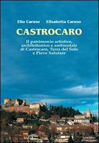 Castrocaro. Il patrimonio artistico, architettonico e ambientale di Castrocaro, terra del sole e pieve salutare - Elio Caruso, Elisabetta Caruso - Libro Il Ponte Vecchio 2009, Mirabilia urbis.Tesori di città romagnole | Libraccio.it