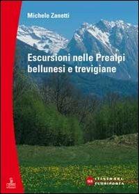Escursioni nelle Prealpi bellunesi e trevigiane - Michele Zanetti - Libro Cierre Edizioni 2009, Itinerari fuori porta | Libraccio.it