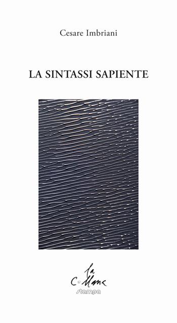 La sintassi sapiente - Cesare Imbriani - Libro Stampa 2009 2015, La collana | Libraccio.it