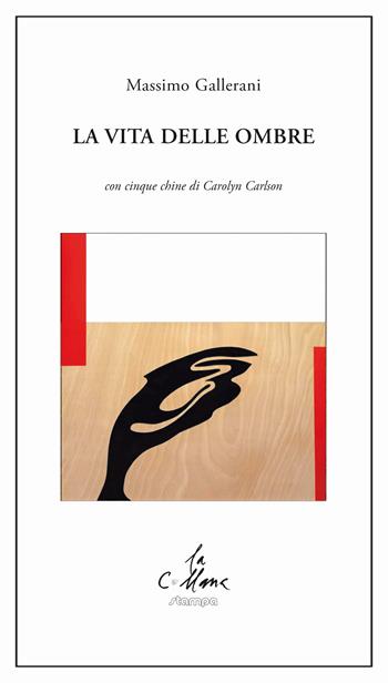 La vita delle ombre - Massimo Gallerani - Libro Stampa 2009 2024, La collana | Libraccio.it