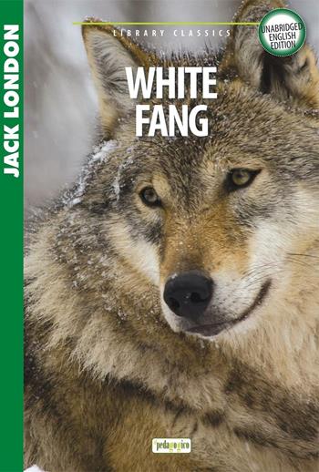 White Fang - Jack London - Libro ilPedagogico 2015, Library classics | Libraccio.it