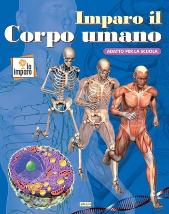 Imparo il corpo umano. Ediz. a colori  - Libro ilPedagogico 2017, Io imparo | Libraccio.it