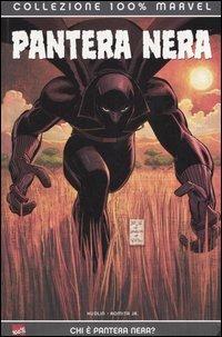 Chi è Pantera Nera? Pantera Nera. Vol. 1 - Reginald Hudlin, John Jr. Romita - Libro Panini Comics 2005, Collezione 100% Marvel | Libraccio.it
