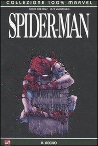 Il regno. Spider-Man - Kaare Andrews, José Villarrubia - Libro Panini Comics 2007, Collezione 100% Marvel | Libraccio.it