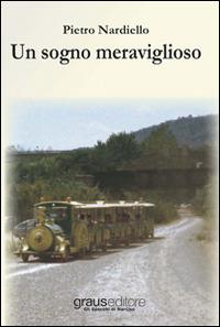 Un sogno meraviglioso - Pietro Nardiello - Libro Graus Edizioni 2014, Gli specchi di Narciso | Libraccio.it