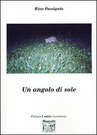 Un angolo di sole - Rino Passigato - Libro Montedit 2003, I salici | Libraccio.it