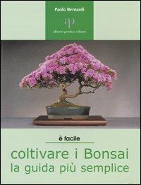 Coltivare i bonsai. La guida più semplice - Paolo Bernardi - Libro Oasi Alberto Perdisa 2004, Facile facile | Libraccio.it