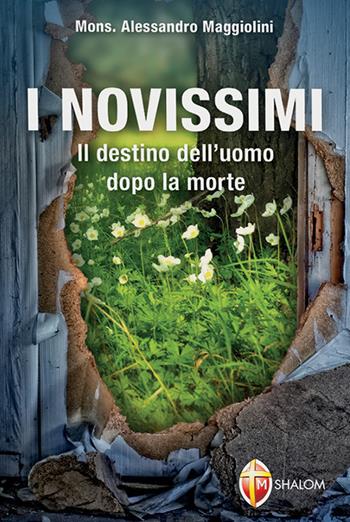 I novissimi. Il destino dell'uomo dopo la morte - Alessandro Maggiolini - Libro Editrice Shalom 2011, L' aldilà | Libraccio.it