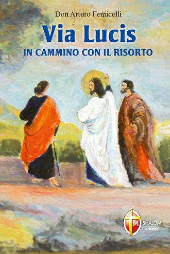 Via lucis. In cammino con il risorto - Arturo Femicelli - Libro Editrice Shalom 2010, Il figlio | Libraccio.it