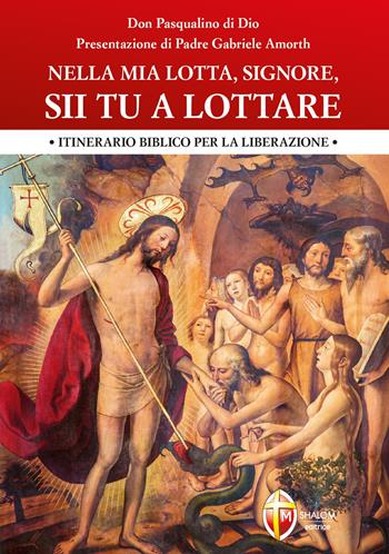 Nella mia lotta, Signore, sii tu a lottare. Itinerario biblico per la liberazione - Pasqualino Di Dio - Libro Editrice Shalom 2018, Liberazione e guarigione | Libraccio.it