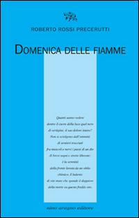 Domenica delle fiamme - Roberto Rossi Precerutti - Libro Aragno 2016, Licenze poetiche | Libraccio.it