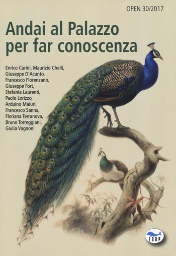 Andai al Palazzo per far conoscenza  - Libro EdUP 2018, Open | Libraccio.it