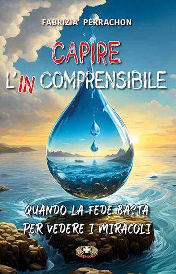 Capire l'incomprensibile. Quando la fede basta per vedere i miracoli - Fabrizia Perrachon - Libro Mimep-Docete 2025 | Libraccio.it