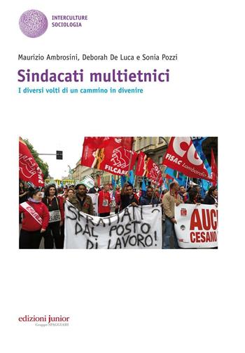 Sindacati multietnici. I diversi volti di un cammino in divenire - Maurizio Ambrosini, Deborah De Luca, Sonia Pozzi - Libro Edizioni Junior 2016 | Libraccio.it