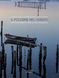 Il Polesine nel Veneto. Un contributo per il suo rilancio - Giuliano Avanzi, Giovanni Veronese, Giulio Veronese - Libro Antiga Edizioni 2020 | Libraccio.it