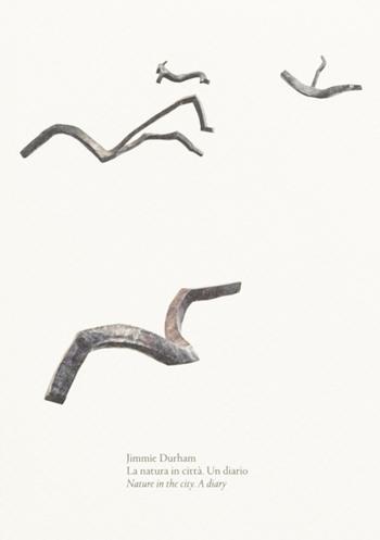 La natura in città. Un diario-Nature in the city. A diary. Ediz. bilingue - Jimmie Durham - Libro Antiga Edizioni 2023 | Libraccio.it