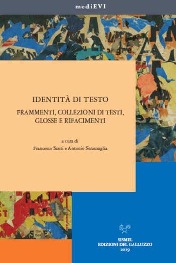 Identità di testo. Frammenti, collezioni di testi, glosse e rifacimenti  - Libro Sismel 2020, MediEVI | Libraccio.it