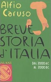Breve storia d'Italia. Dal 2000 a.C. al 2000 d.C.