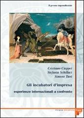 Il governo imprenditoriale. Vol. 13\2: Gli incubatori d'impresa: esperienze internazionali a confronto.