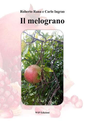 Il melograno - Roberto Rana, Carlo Ingrao - Libro Wip Edizioni 2014, Università | Libraccio.it