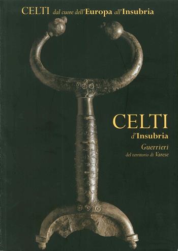 Celti d'Insubria. Guerrieri del territorio di Varese - Venceslas Kruta - Libro Il Cerchio 2004 | Libraccio.it