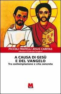 A causa di Gesù e del Vangelo. Tra contemplazione e vita concreta - Gabriele Faraghini - Libro Monti 2011 | Libraccio.it