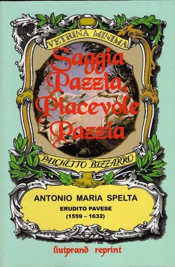 Saggia pazzia, piacevole pazzia - Antonio M. Spelta - Libro Mimesis 2006, Mimesis-Liutprand | Libraccio.it