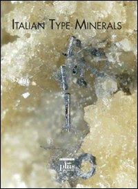Italian type minerals. Ediz. inglese - Marco E. Ciriotti, Lorenza Fascio, Marco Pasero - Libro Plus 2009, Miscellanea | Libraccio.it