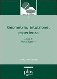 Geometria, intuizione, esperienza  - Libro Plus 2009, Linee di confine | Libraccio.it