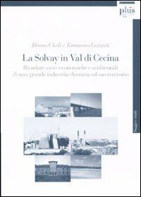 La Solvay in Val di Cecina. Ricadute socio-economiche e ambientali di una grande industria chimica sul suo territorio - Bruno Cheli, Tommaso Luzzati - Libro Plus 2010, Saggi e studi | Libraccio.it