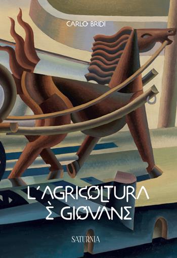 L' agricoltura è giovane - Carlo Bridi - Libro Saturnia 2015 | Libraccio.it