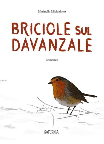 Briciole sul davanzale - Marinella Michielotto - Libro Saturnia 2017 | Libraccio.it