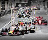 Fast days. Formula 1. Ediz. italiana e inglese