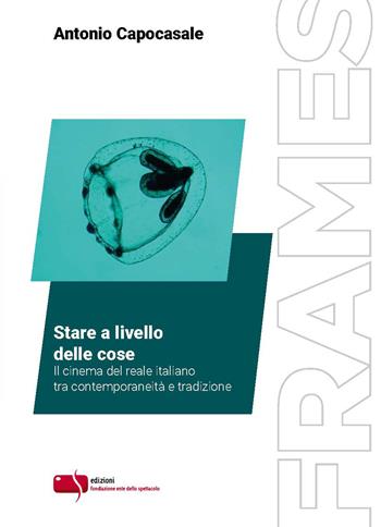 Stare a livello delle cose. Il cinema del reale italiano tra contemporaneità e tradizione - Antonio Capocasale - Libro Fondazione Ente dello Spettacolo 2022, Frames | Libraccio.it