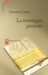 La montagna paziente