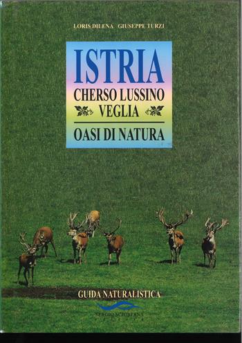 Istria, Cherso, Lussino: guida storico-artistica. Storia e cultura di 50 comuni!  - Libro Fachin 2008 | Libraccio.it