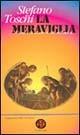 La meraviglia. Il salmo 118 dal punto di vista dell'handicap - Stefano Toschi - Libro Ed Insieme 1997, Scrigni | Libraccio.it
