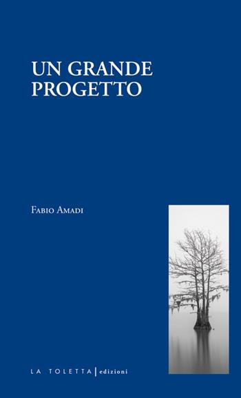 Un grande progetto - Fabio Amadi - Libro LA TOLETTA Edizioni 2018, I tolettini | Libraccio.it