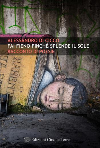 Fai fieno finché splende il sole - Alessandro Di Cicco - Libro Edizioni Cinque Terre 2021 | Libraccio.it