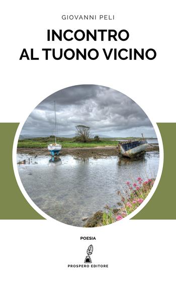 Incontro al tuono vicino - Giovanni Peli - Libro Prospero Editore 2019 | Libraccio.it