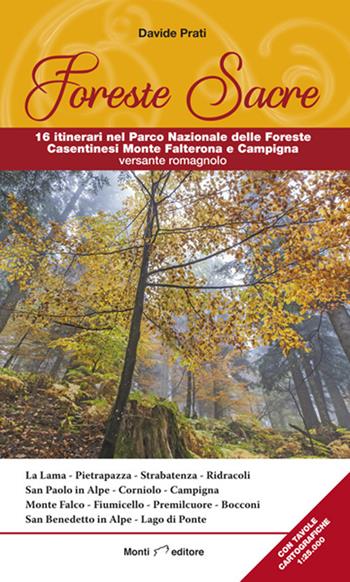 Foreste Sacre. 16 itinerari nel Parco Nazionale delle Foreste Casentinesi Monte Falterona e Campigna versante romagnolo - Davide Prati - Libro Monti Raffaele 2021 | Libraccio.it