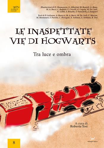 Le inaspettate vie di Hogwarts. Tra luce e ombra  - Libro Delmiglio Editore 2019, Fuoriclasse | Libraccio.it