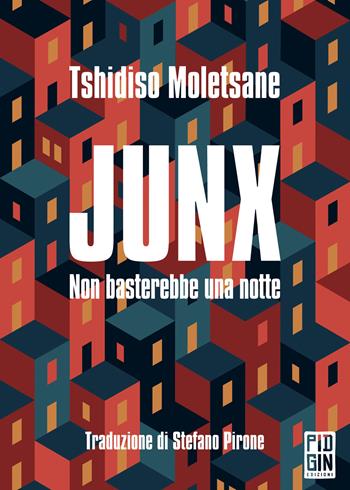 Junx. Non basterebbe una notte - Tshidiso Moletsane - Libro Pidgin Edizioni 2025, Mangrovie | Libraccio.it