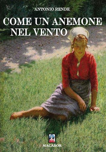 Come un anemone nel vento - Antonio Rende - Libro Macabor 2019, Nodi | Libraccio.it