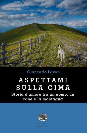 Aspettami sulla cima - Giancarlo Pavan - Libro ViviDolomiti 2017, I disgeli | Libraccio.it