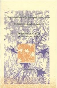 I Pirenei centrali. Da Vielle-Aure a Borce - Lucia Innocenti - Libro Centro Documentazione Pistoia 1994, Sentieri naturalistici | Libraccio.it