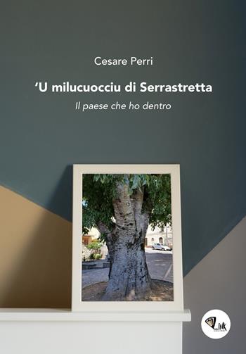 'U milucuocciu di Serrastretta. Il paese che ho dentro - Cesare Perri - Libro Link 2019 | Libraccio.it