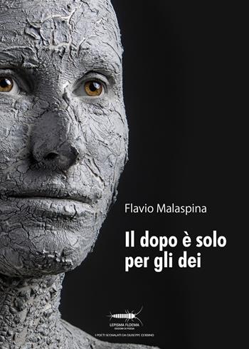 Il dopo è solo per gli dei - Flavio Malaspina - Libro Controluna 2019, Lepisma floema | Libraccio.it